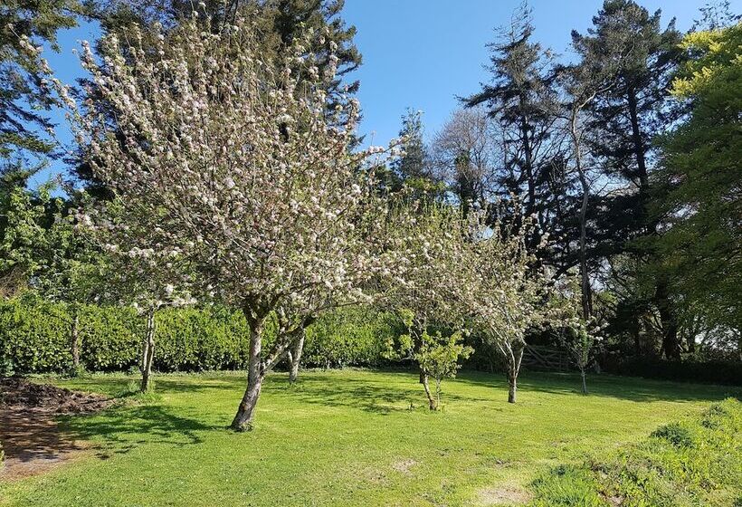 Great Trethew Manor Hotel & Self Catering Lodges