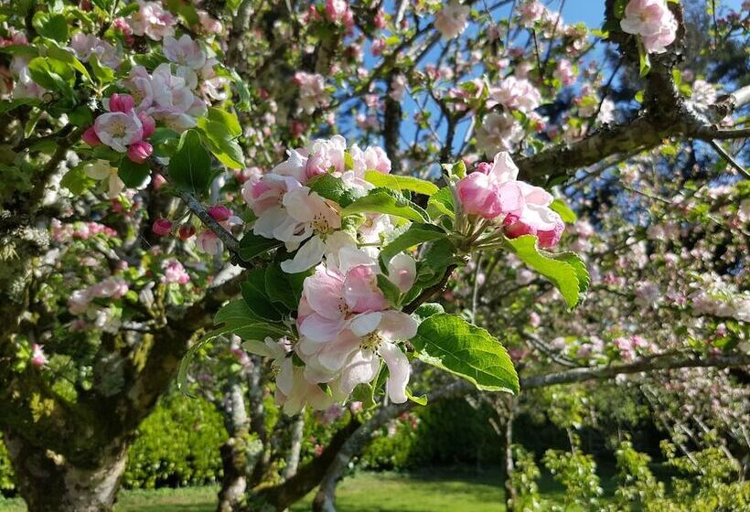 Great Trethew Manor Hotel & Self Catering Lodges