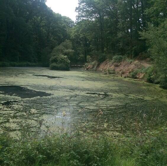 Great Trethew Manor Hotel & Self Catering Lodges