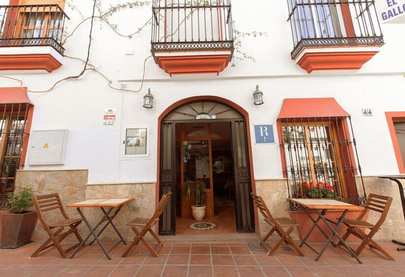 Hostal El Gallo
