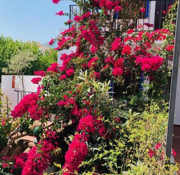 客栈  Pension Aduar