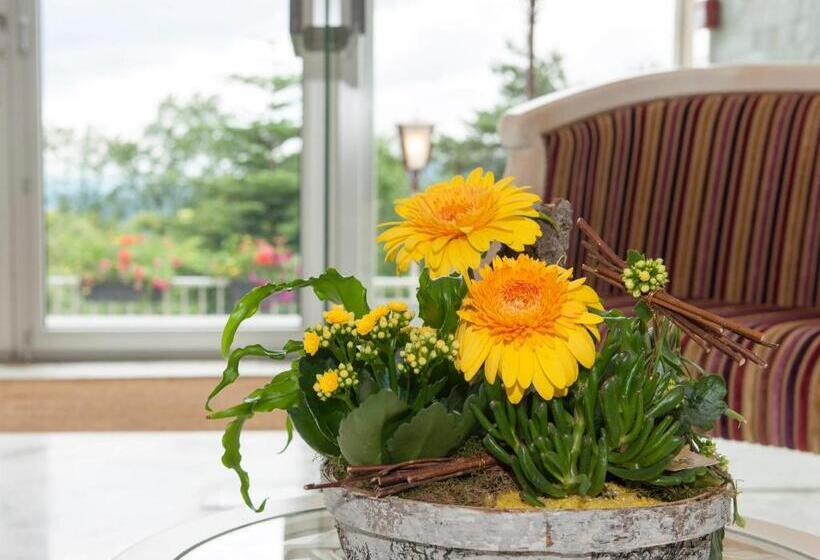 Alexain Hotel Restaurant & Wellness   Colmar Ouest