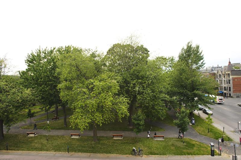 Отель & Spa Carré Saint Louis