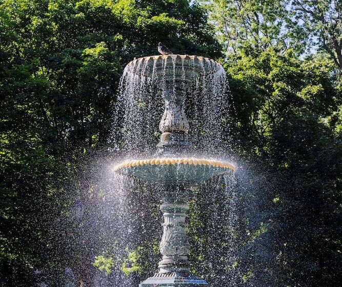 Отель & Spa Carré Saint Louis