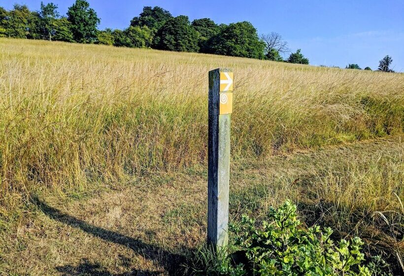 ホテル Broome Park