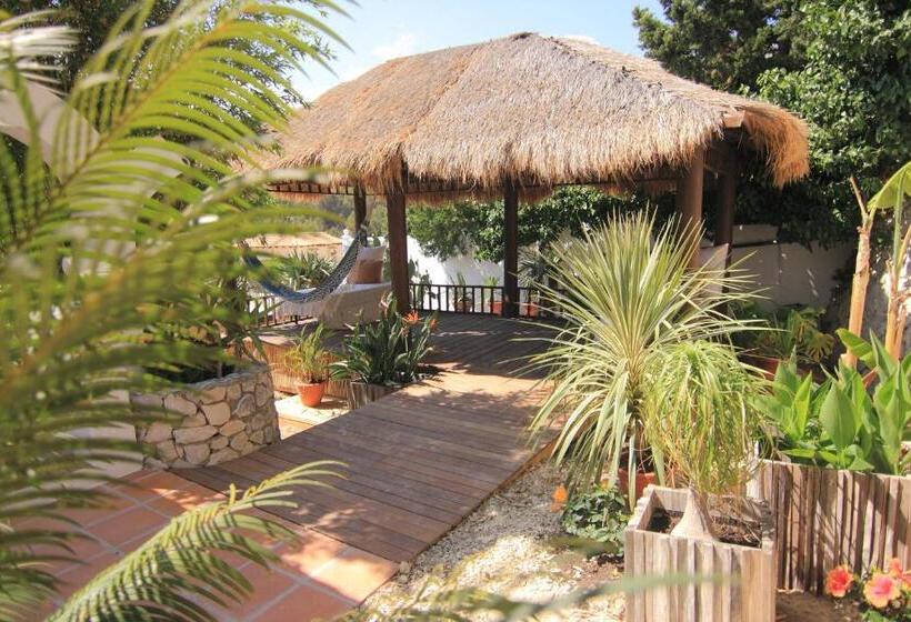 هتل Caballito De Mar Boutique