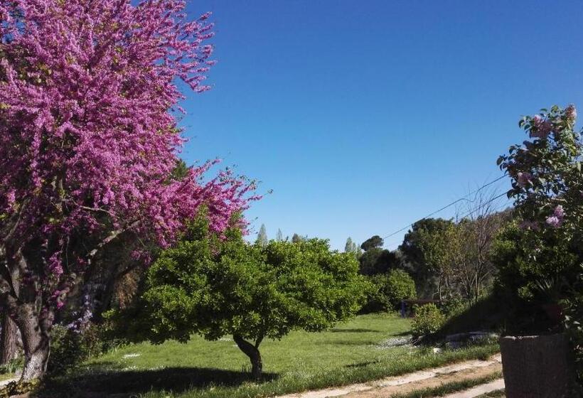 فندق Casa Grande