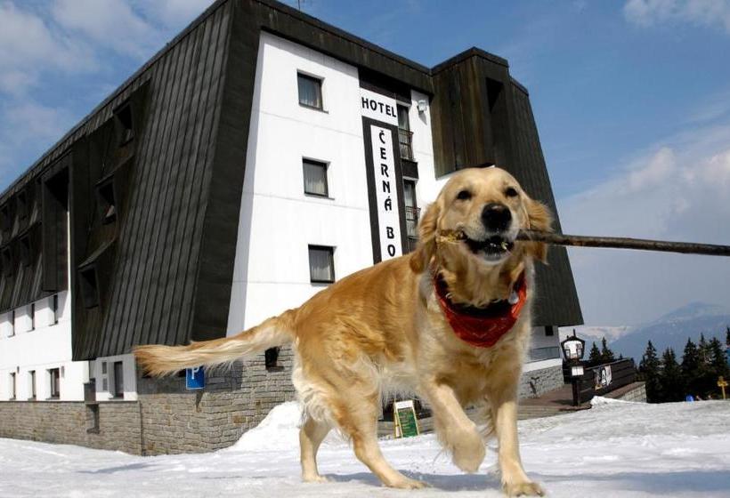 בית מלון כפרי Cerna Bouda