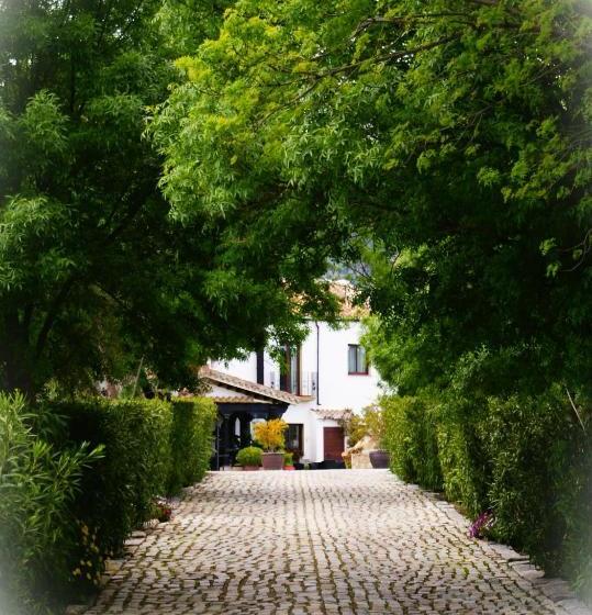 ホテル Cortijo Salinas