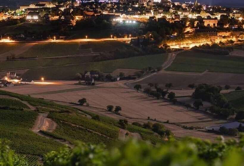 בית מלון כפרי De La Loire