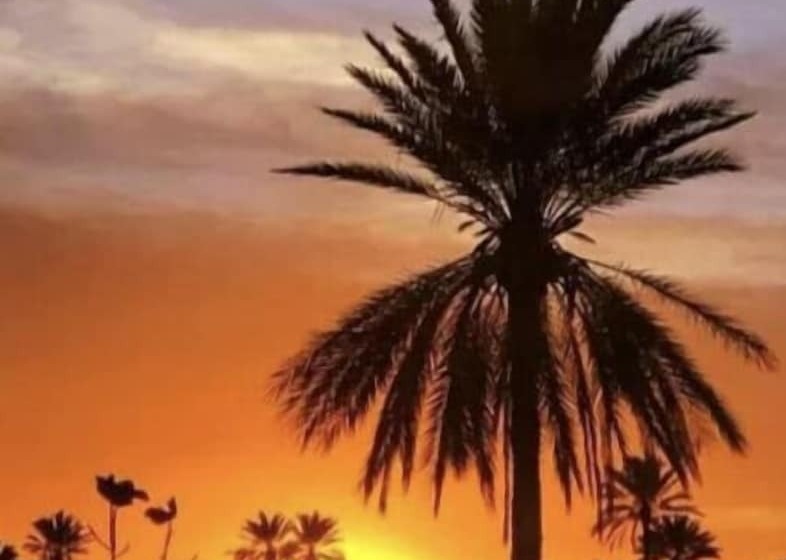 Отель Djerba Orient