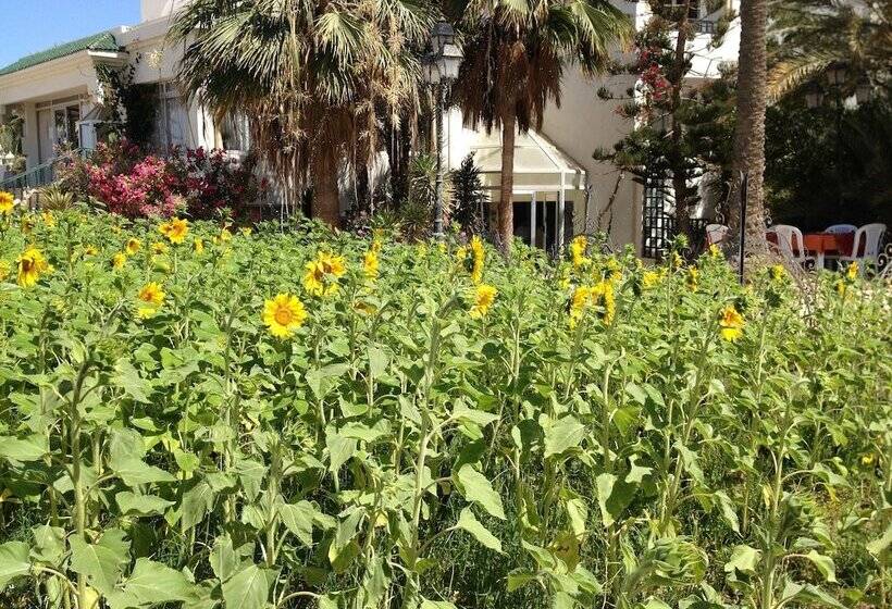 Отель Djerba Orient