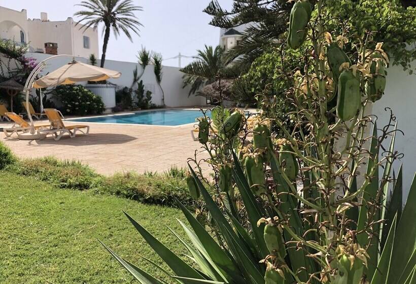 Отель Djerba Orient