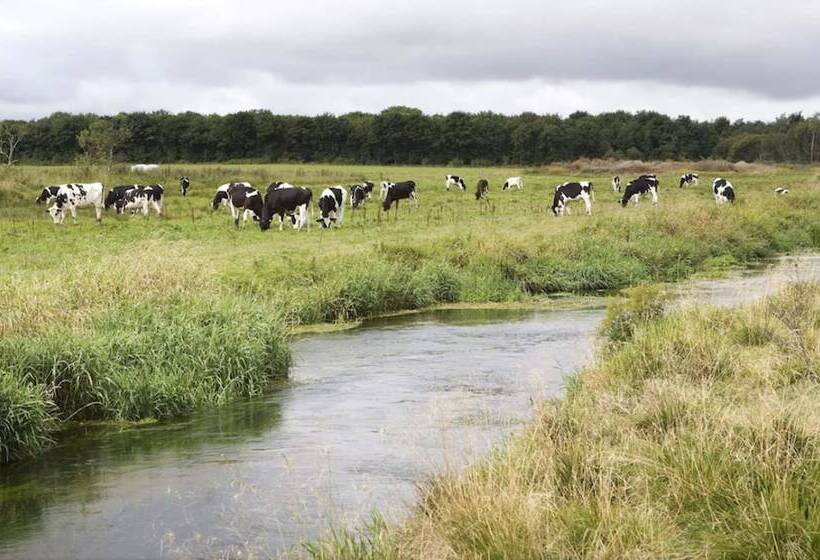 בית מלון כפרי Hedemarken