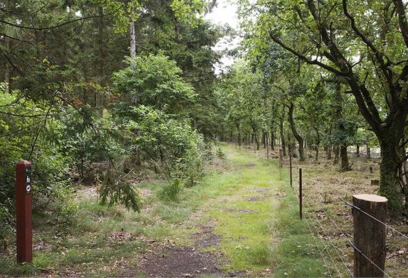 Отель Hedemarken