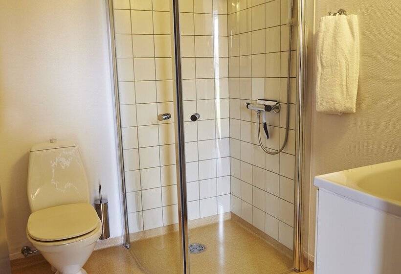 בית מלון כפרי Hedemarken