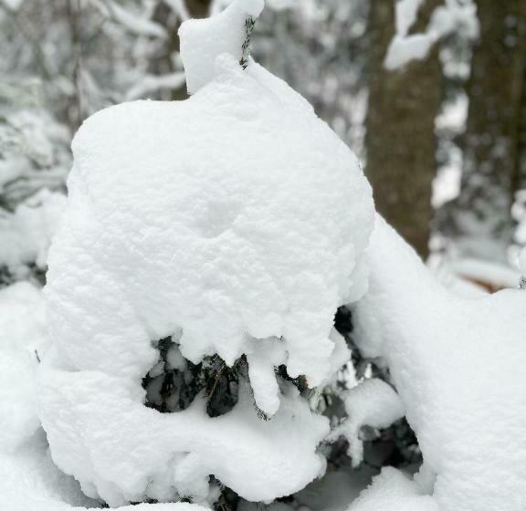 Heutaler Hof   Hotel Im Naturidyll