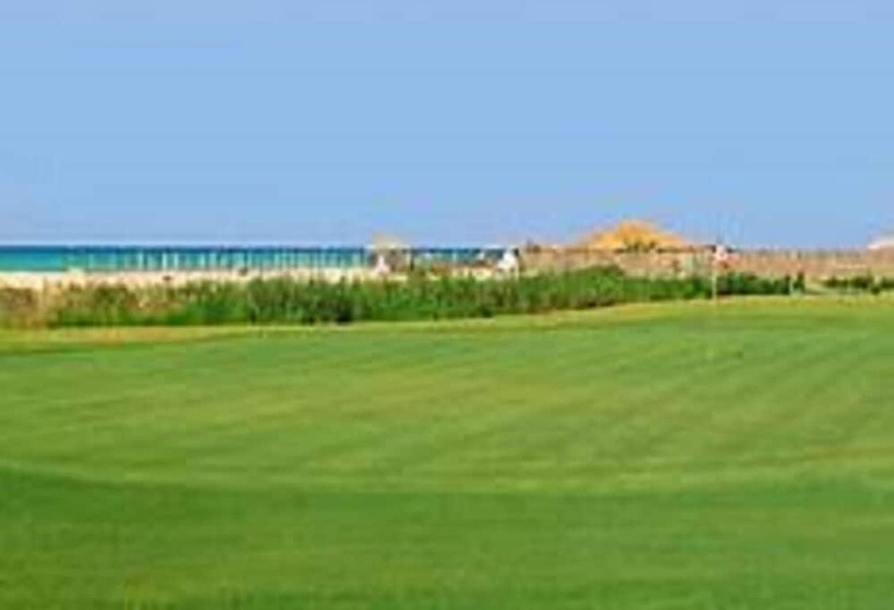 فندق Hôtel Les Palmes D Or