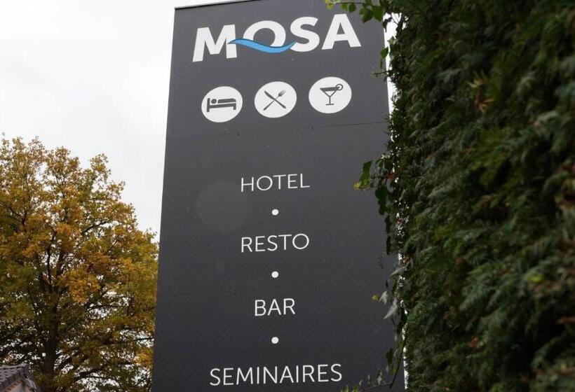 Отель Hôtel Mosa