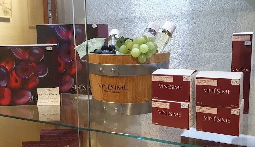 호텔 Demeures & Châteaux   Hôtel Greuze & Spa Tournus