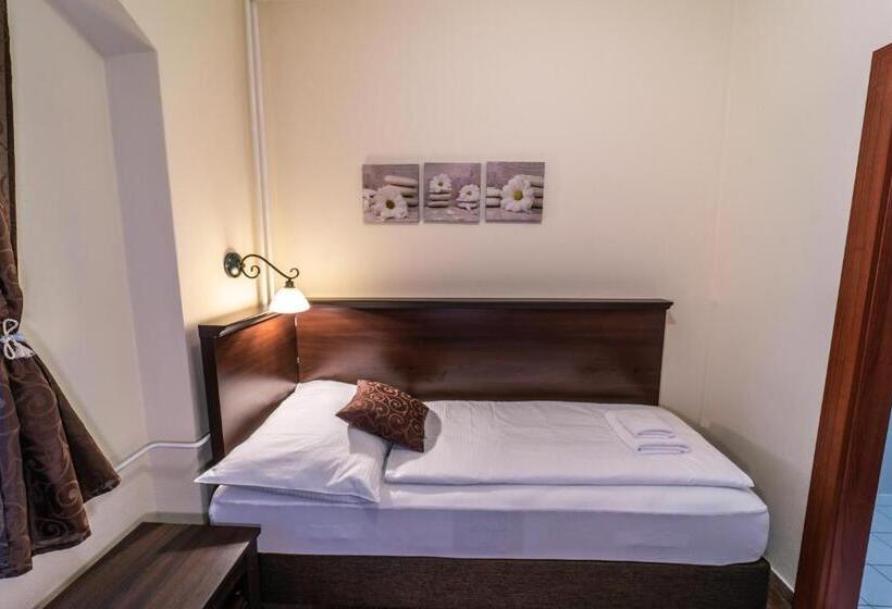 בית מלון כפרי Koruna Prachatice