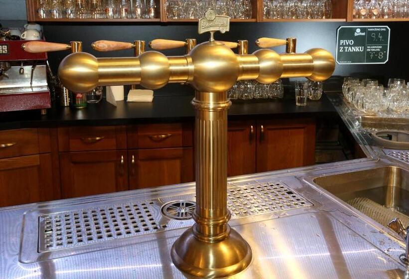 בית מלון כפרי Koruna Prachatice