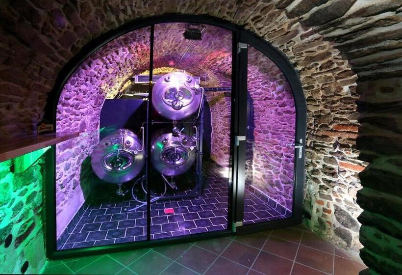 בית מלון כפרי Koruna Prachatice