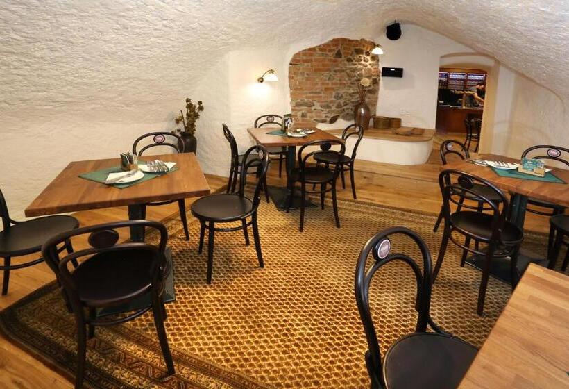 בית מלון כפרי Koruna Prachatice