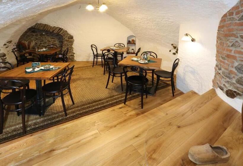 בית מלון כפרי Koruna Prachatice