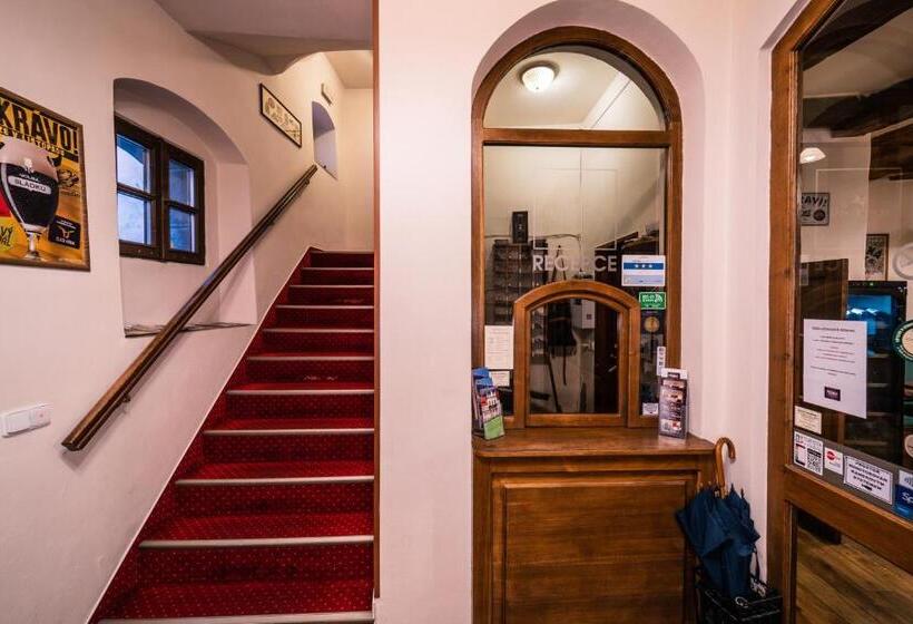 בית מלון כפרי Koruna Prachatice