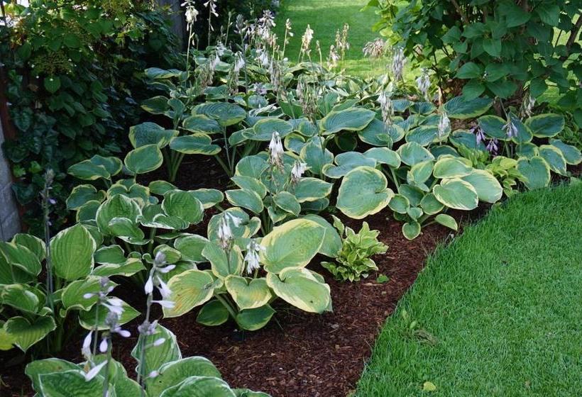 호텔 Landhaus Gemsenblick