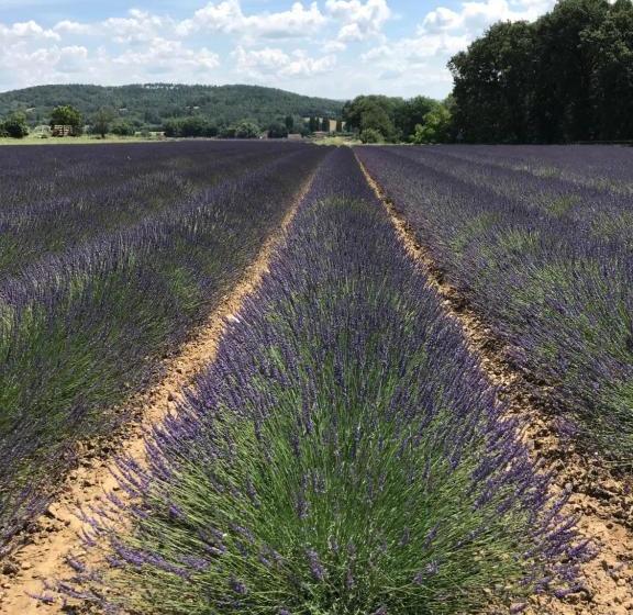 ホテル Les Sables D'ocre