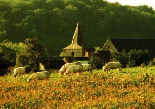 Отель Limburgia