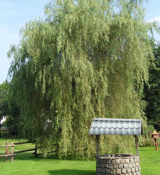 בית מלון כפרי Lu Fèye Boigelot