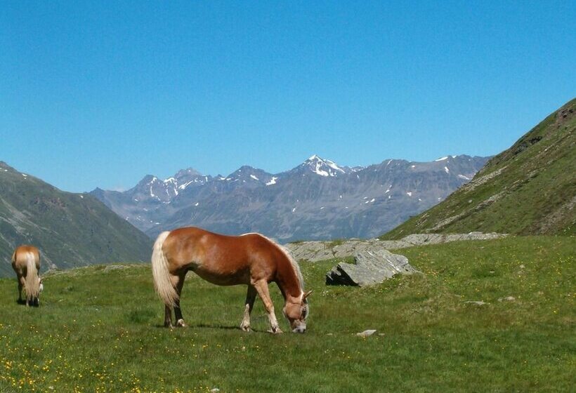 Отель Neue Post