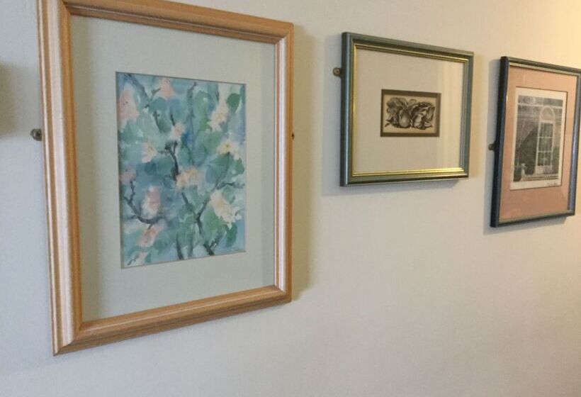 酒店 Panorama Guest House