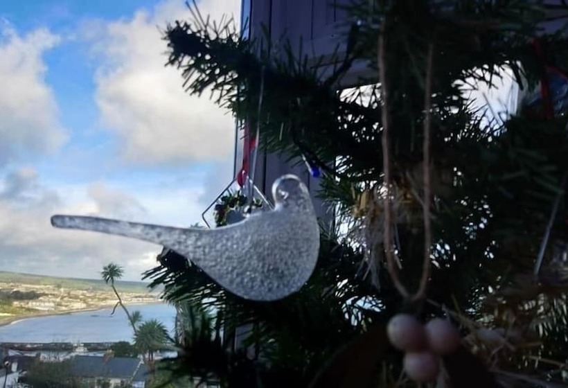 酒店 Panorama Guest House