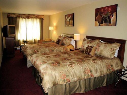 Hotel Plateau Royale