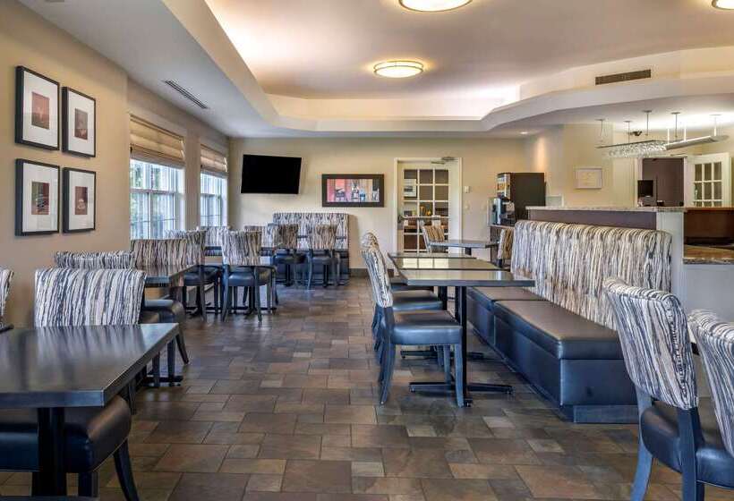 酒店 Quality Inn & Suites Amsterdam