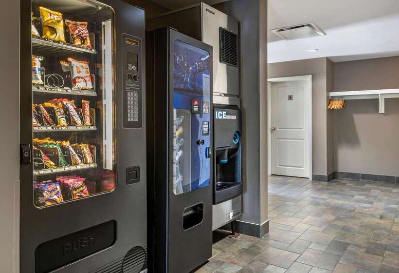 בית מלון כפרי Quality Inn & Suites Amsterdam