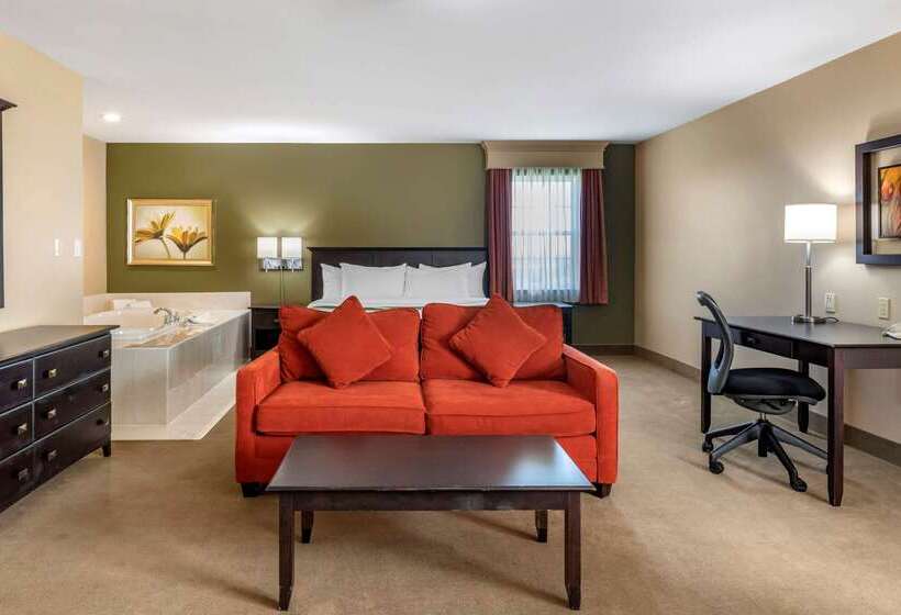 酒店 Quality Inn & Suites Amsterdam