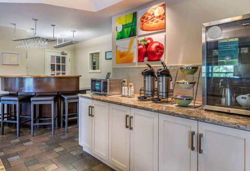 酒店 Quality Inn & Suites Amsterdam