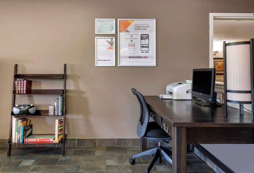 酒店 Quality Inn & Suites Amsterdam