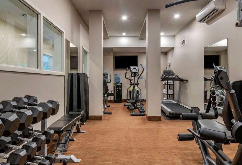 בית מלון כפרי Quality Inn & Suites Amsterdam