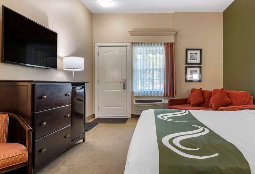 酒店 Quality Inn & Suites Amsterdam