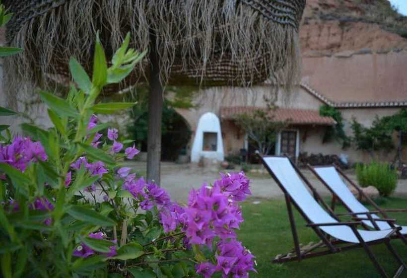 בית מלון כפרי Cuevas Almagruz