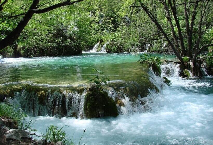 ホテル Tamarix Residence