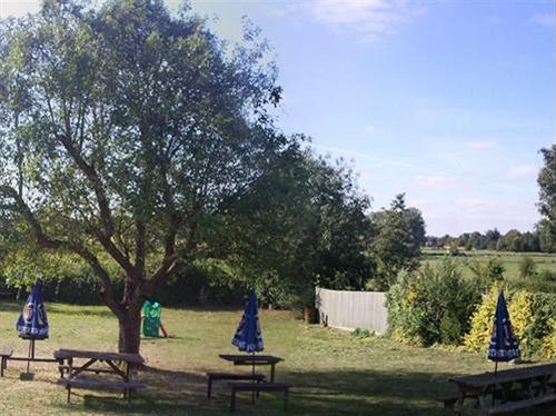 Отель The Bay Horse