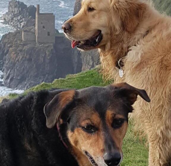 Отель The Commercial