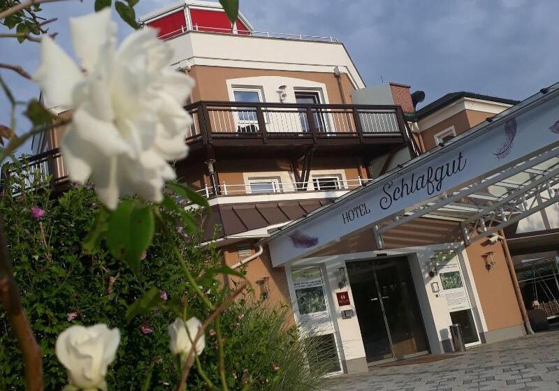 Отель Traumvogel